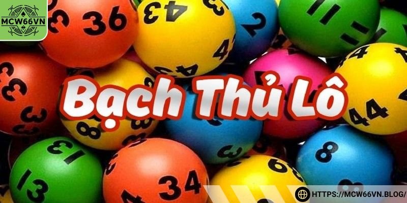 Ưu điểm nổi bật nhất của bạch thủ lô