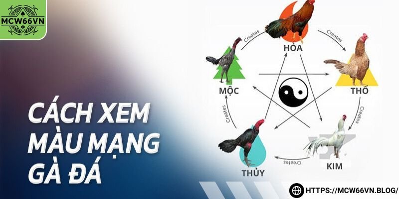 Biết khả năng chiến đấu của gà đá