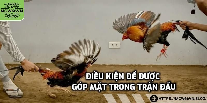 Điều kiện để được góp mặt trong trận đấu