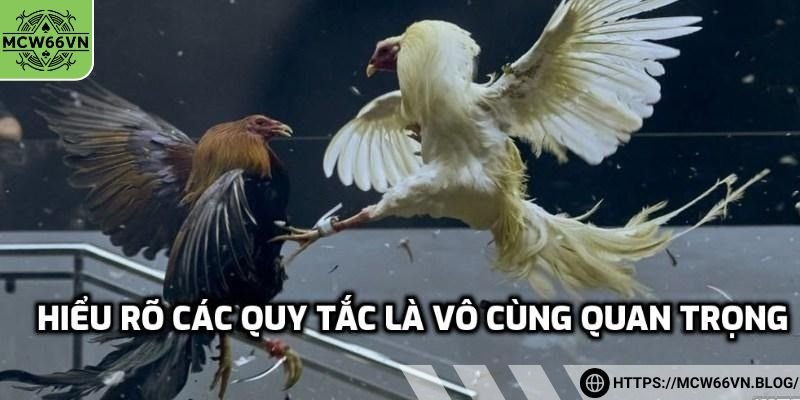 Hiểu rõ các quy tắc là vô cùng quan trọng