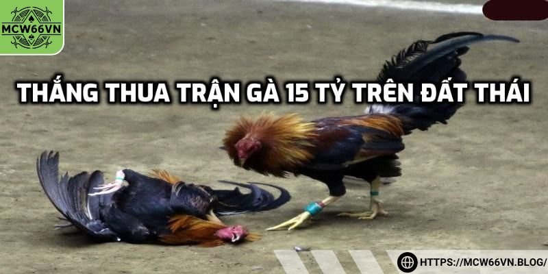 Phân định thắng thua của trận gà 15 tỷ trên đất Thái
