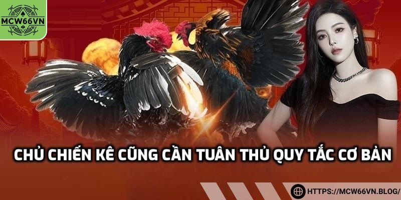 Chủ chiến kê cũng cần tuân thủ quy tắc cơ bản
